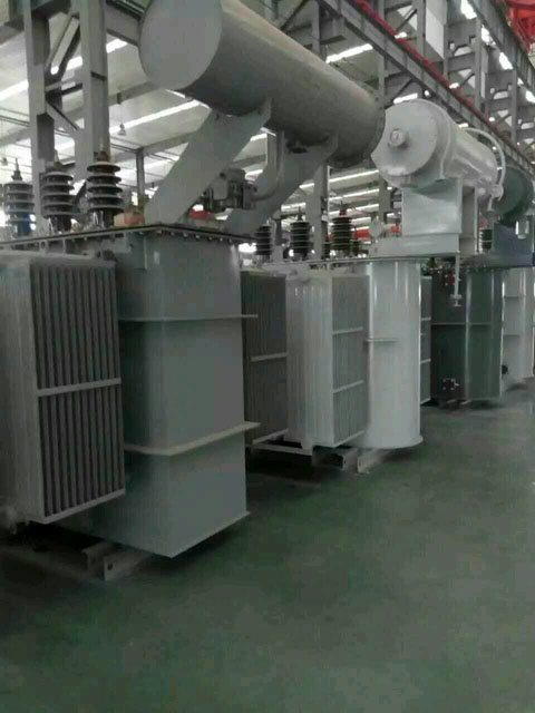 佛坪S11-6300KVA油浸式变压器